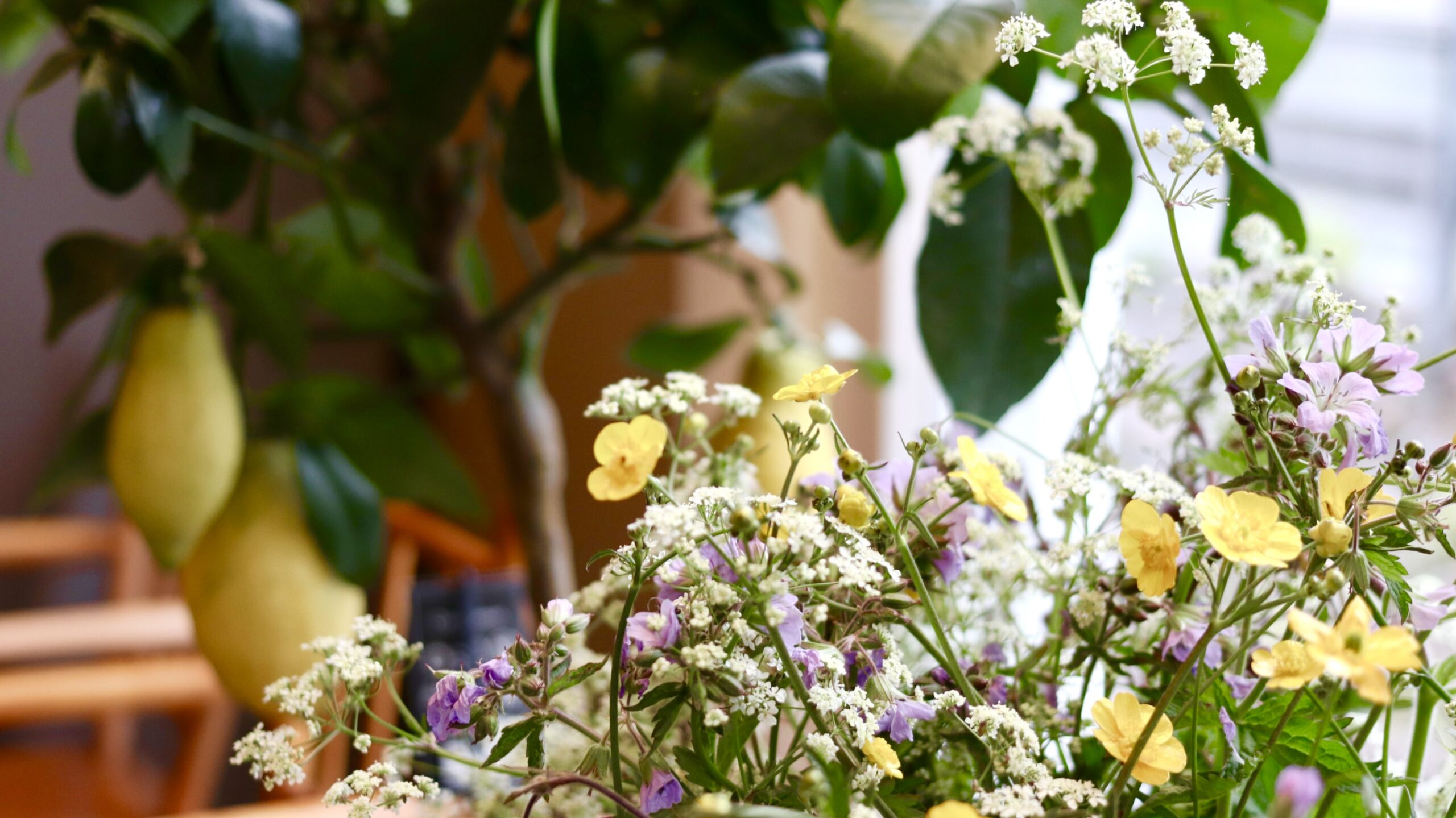 Kukkia lähikuvassa.