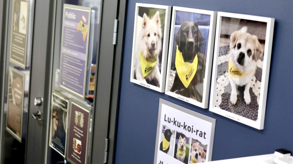 Lukukoirien kuvia Valkeakosken kirjaston seinällä.